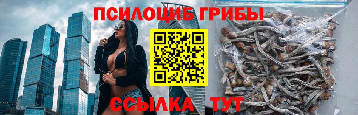 Галлюциногенные грибы Psilocybine cubensis  Вход с VPN  Нарткала  Галлюциногенные грибы Cubensis 
